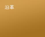 沿革