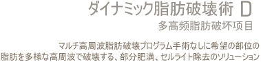 动态脂肪破坏术 D